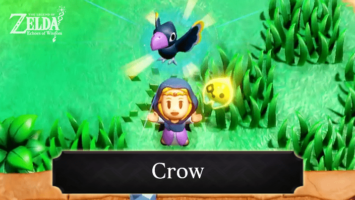 The Legend of Zelda Echoes of Wisdom (EoW) - Crow