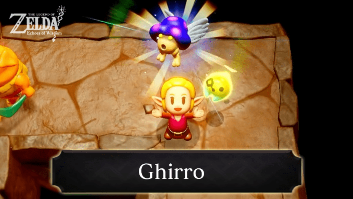 The Legend of Zelda Echoes of Wisdom (EoW) - Ghirro