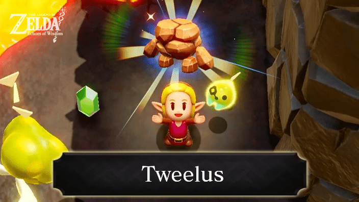 The Legend of Zelda Echoes of Wisdom (EoW) - Tweelus