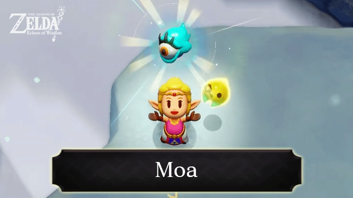 The Legend of Zelda Echoes of Wisdom (EoW) - Moa
