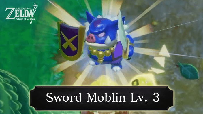Zelda Echoes of Wisdom Sword Moblin Lv. 3 Echo Location and How to Get