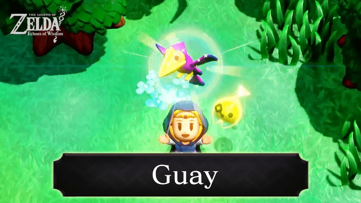 Zelda EoW - Guay