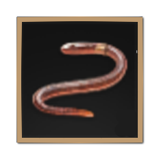 Worm Bait Icon