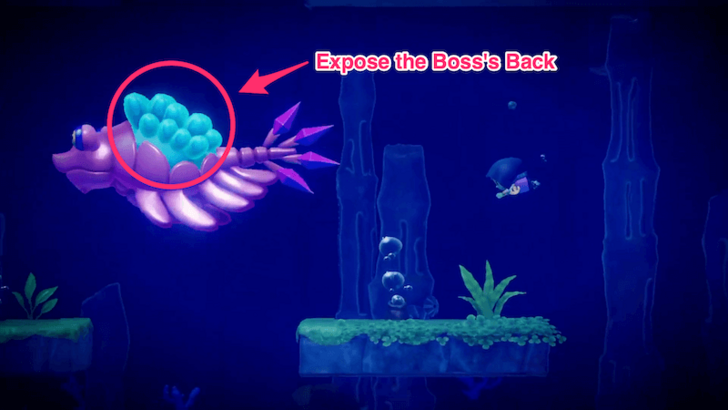 Zelda EoW - Vocavor Back