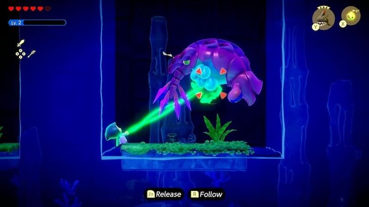 Zelda EoW - Vocavor Bind