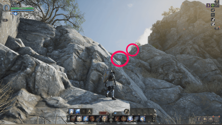 Throne and Liberty Stranded Pitons