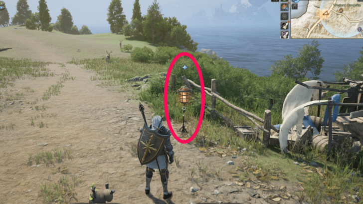 Throne and Liberty Pathway Torch