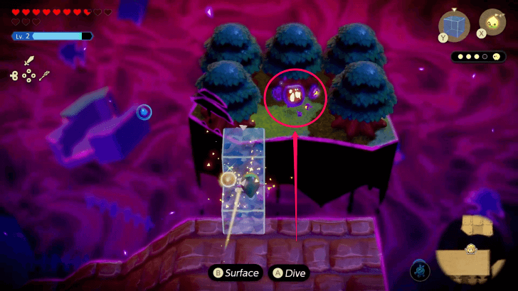 Stilled Lower Suthorn Forest Step 11