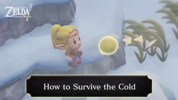 Zelda Echoes of Wisdom How to Survive the Cold
