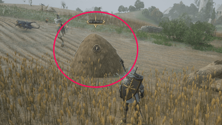 Throne and Liberty Pile of Straw in Tilled Fields