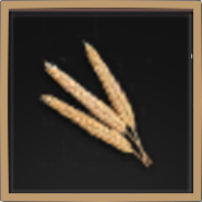 Golden Rye Icon