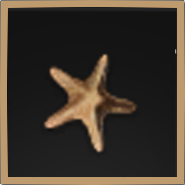 Aurora Starfish Icon