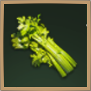 Celery Icon