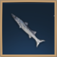 Barracuda Icon