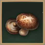 Shiitake Mushroom Icon