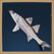 Blacktail Snook Icon