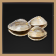 Clam Icon