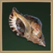 Hermit Crab Tail Icon