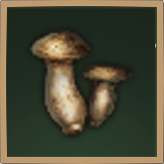 Pine Mushroom Icon