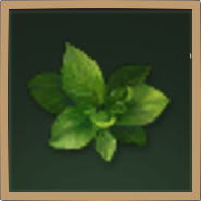 Basil Icon