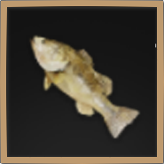 Largemouth Bass Icon