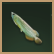 Arowana Icon