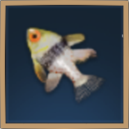 Pajama Cardinalfish Icon