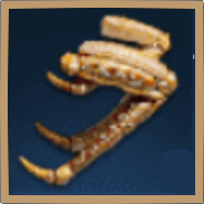Insect Leg Icon