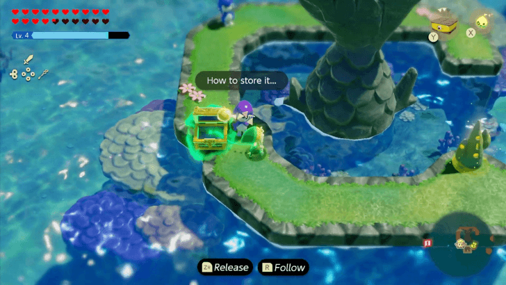 Bring Chest to the Zora Cove