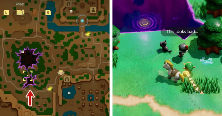 Stilled Southern Hyrule Field Rift Location for From the Heart Quest