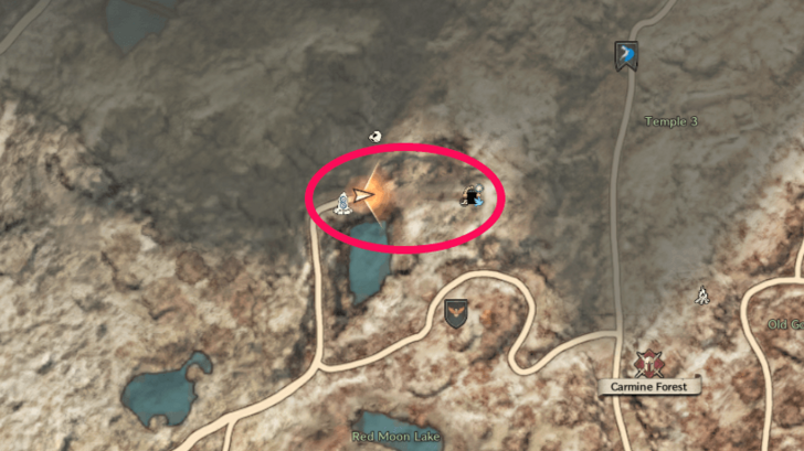 Throne and Liberty Syleus