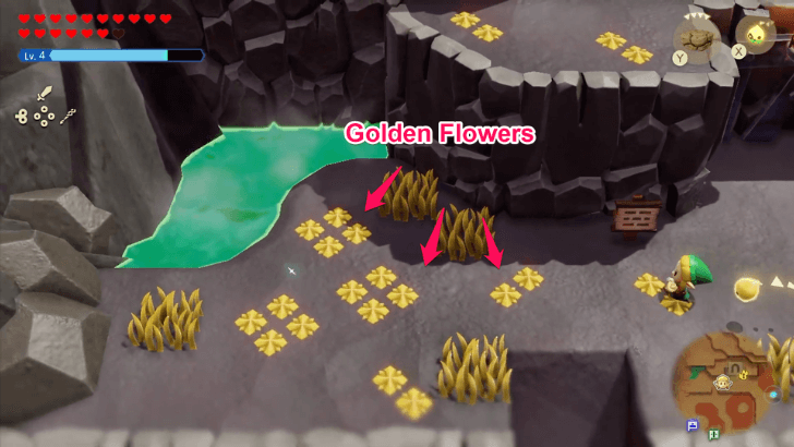 Golden Flowers Location