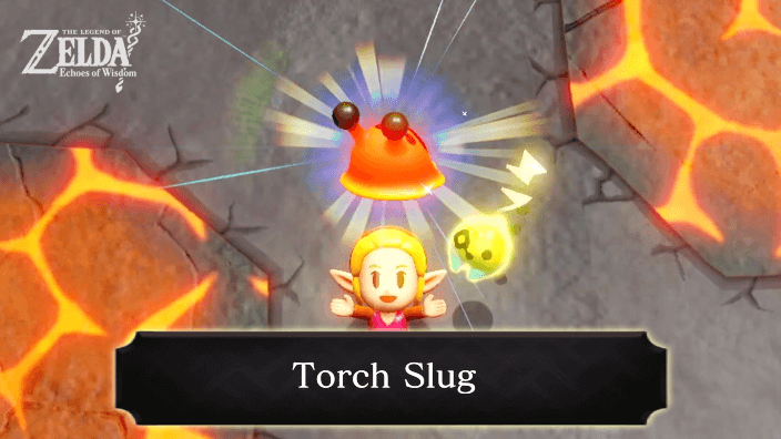 The Legend of Zelda Echoes of Wisdom Torch Slug