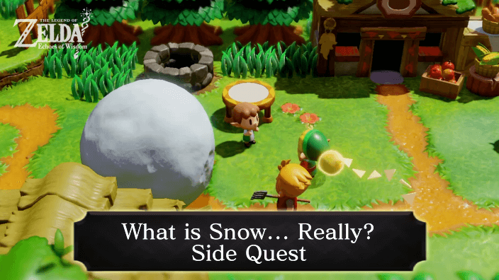Zelda Echoes of Wisdom What is Snow