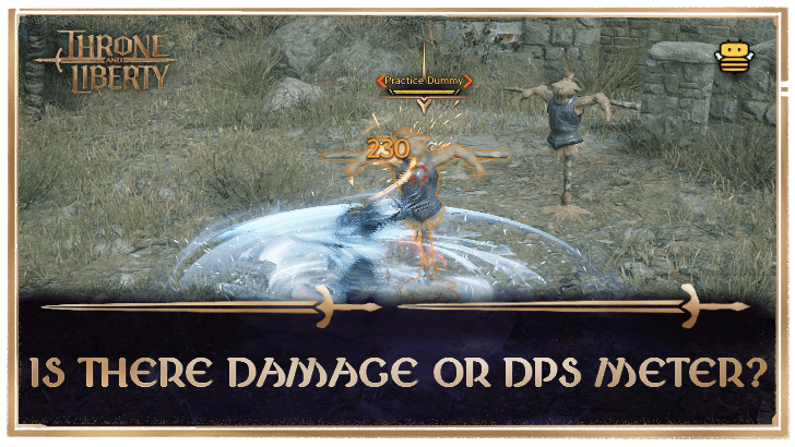Throne and Liberty - Damage or DPS Meter.png