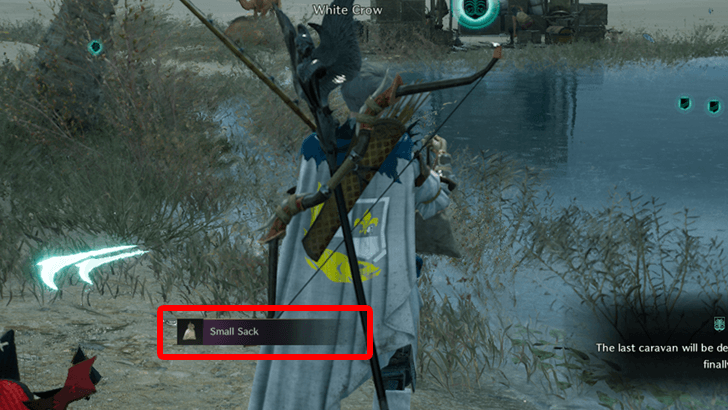 Big and Small Sacks from Fishing