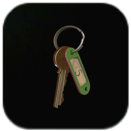 Apartment Key Icon