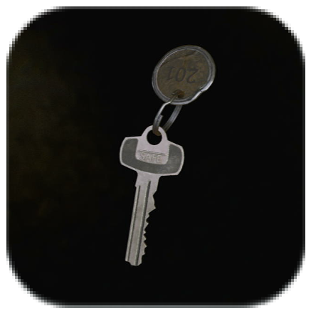 Apartment 201 Key Icon