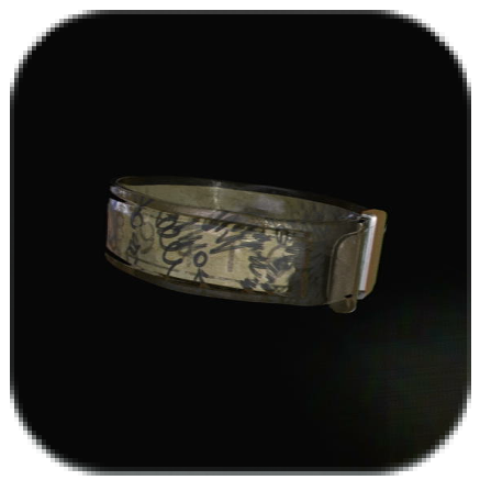 Marked Bracelet Icon