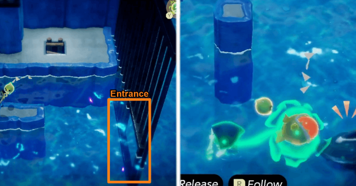 Obtain Chompfin Echo