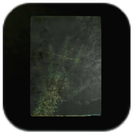 Moldy Radiograph Icon