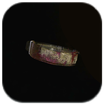 Bloodstained Bracelet Icon