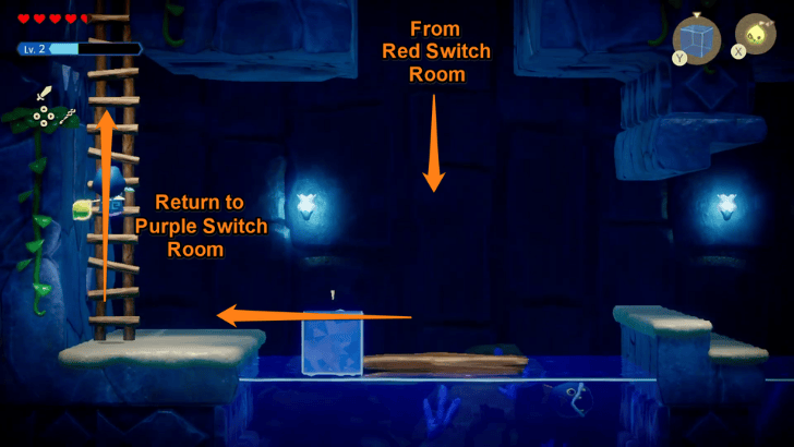 Return to Purple Switch Room