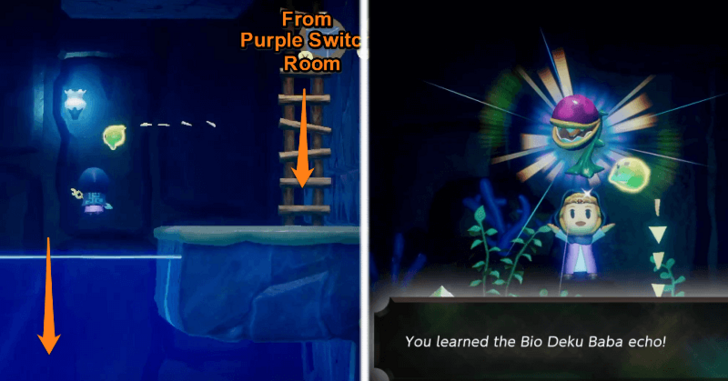 Obtain Bio Deku Baba Echo