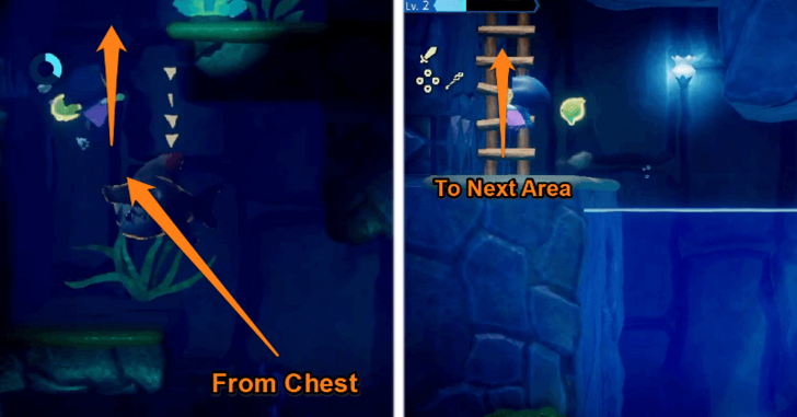 Swim Up and Climb Ladder