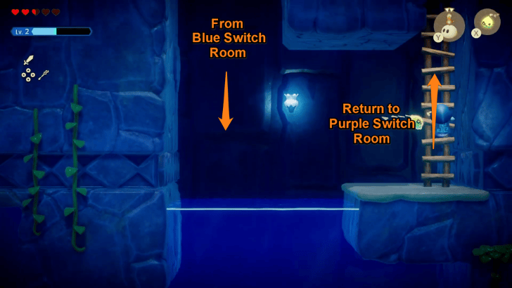 Return to Purple Switch Room from Blue Switch