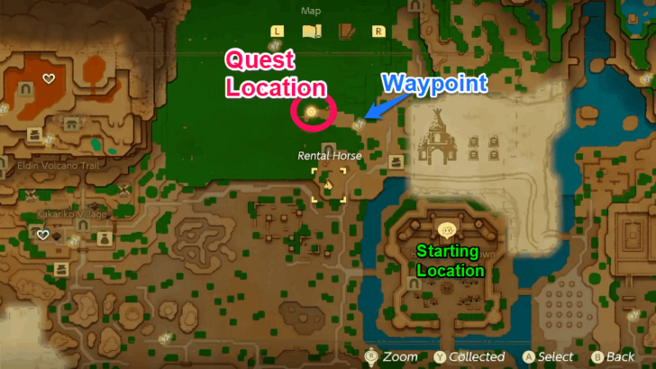 Head to the Eternal Forest Northwest of Hyrule Castle  Step 2