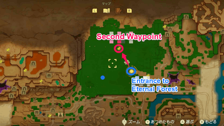 Head to the Eternal Forest Northwest of Hyrule Castle  Step 3