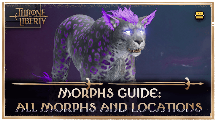 Morphs Guide
