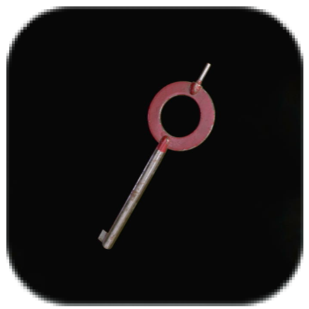 Small Key Icon